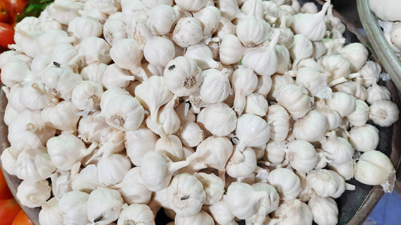 দেশি রসুন